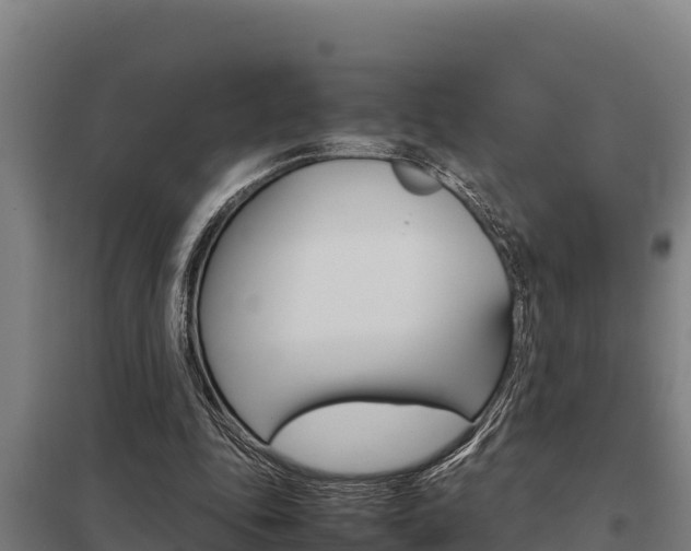 X0000098040343200803280759
