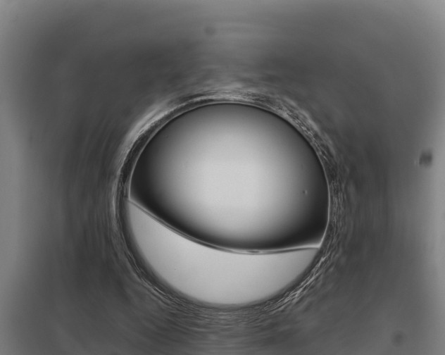 X0000098040344200803280759
