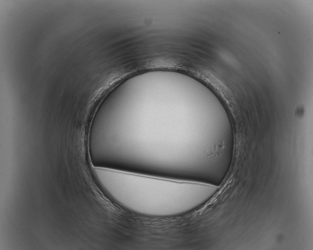 X0000098040345200803280759