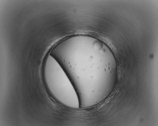 X0000098040346200803280759