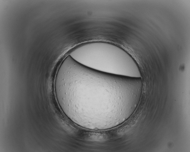X0000098040347200803280759