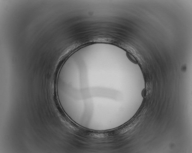 X0000098040349200803280759
