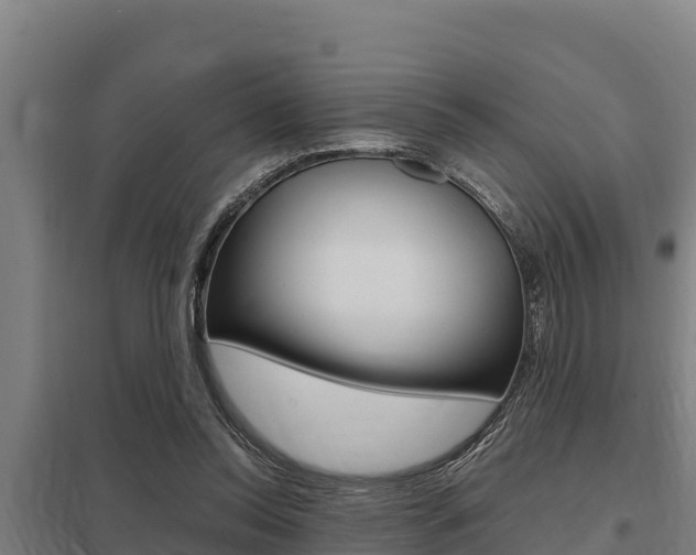 X0000098040350200803280759