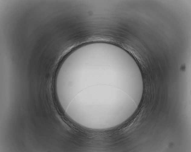 X0000098040352200803280759