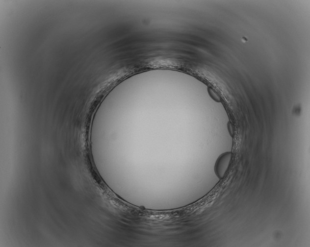 X0000098040353200803280759