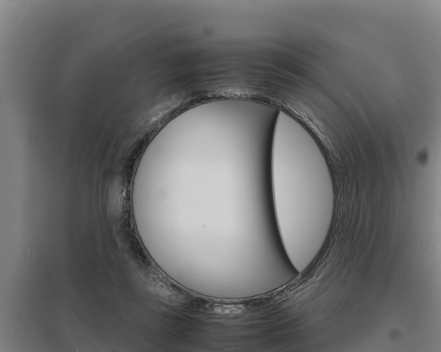 X0000098040355200803280759