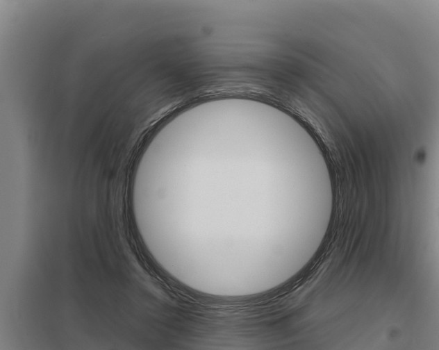 X0000098040356200803280759