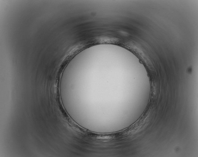 X0000098040357200803280759
