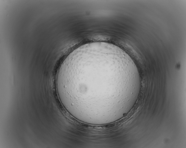 X0000098040359200803280759