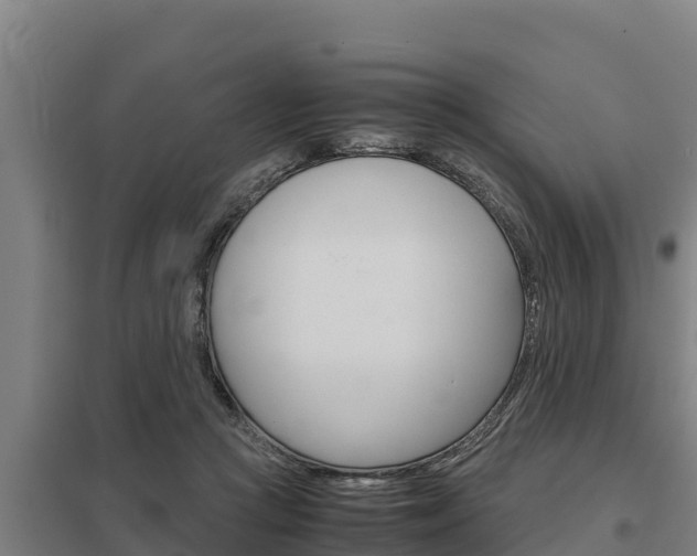 X0000098040361200803280759