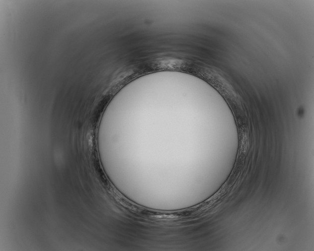 X0000098040363200803280759