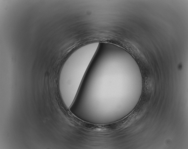 X0000098040364200803280759
