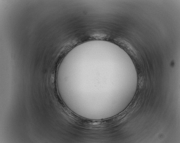 X0000098040365200803280759