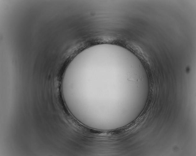 X0000098040366200803280759