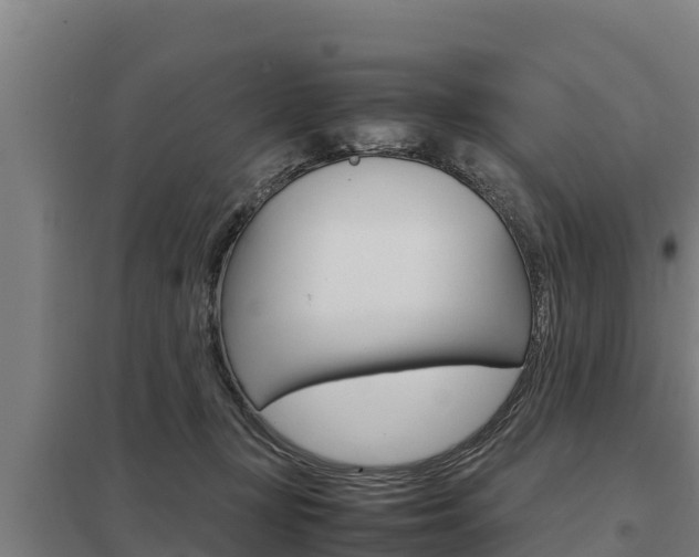 X0000098040367200803280759