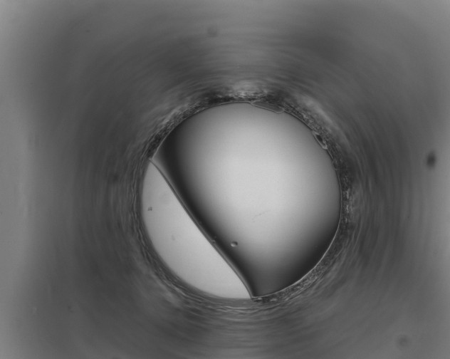 X0000098040368200803280759