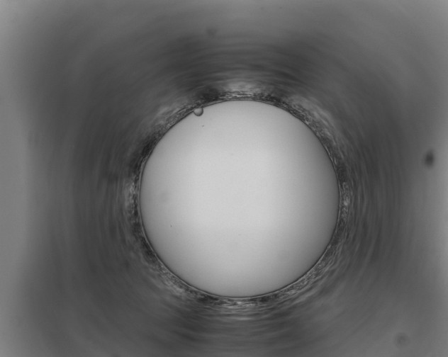 X0000098040369200803280759