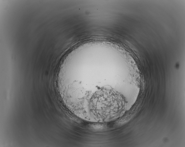 X0000098040370200803280759