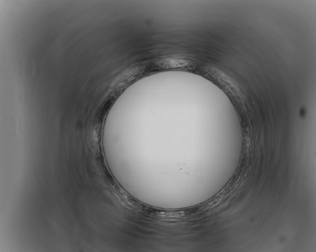 X0000098040373200803280759