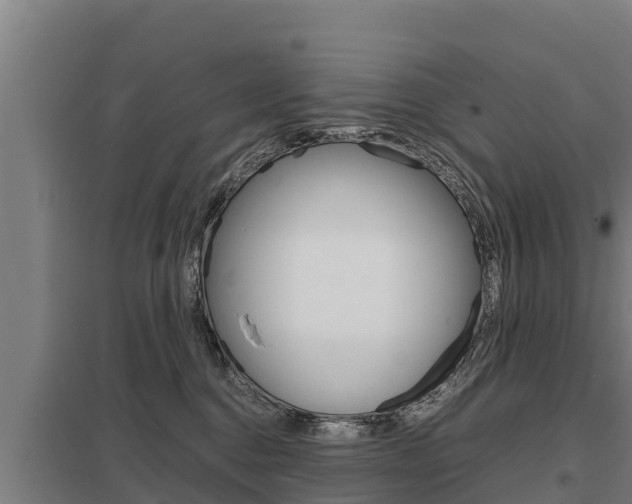 X0000098040376200803280800