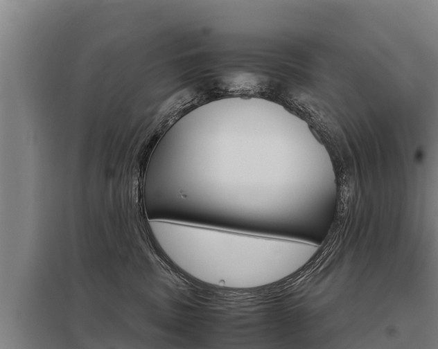 X0000098040379200803280800