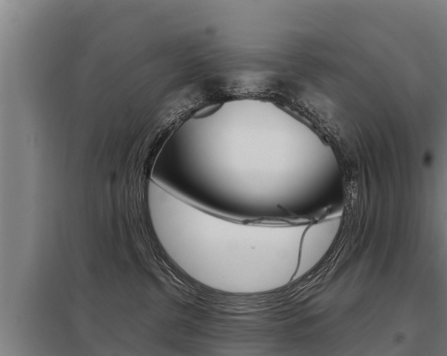 X0000098040380200803280800
