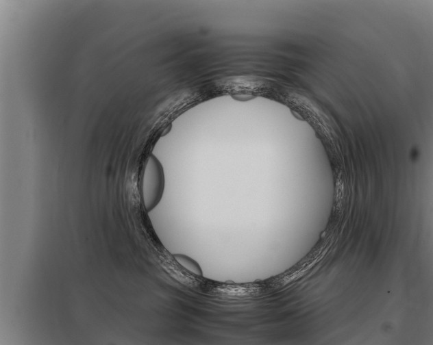 X0000098040381200803280800