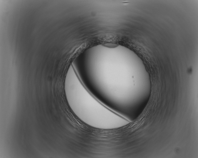 X0000098040384200803280800