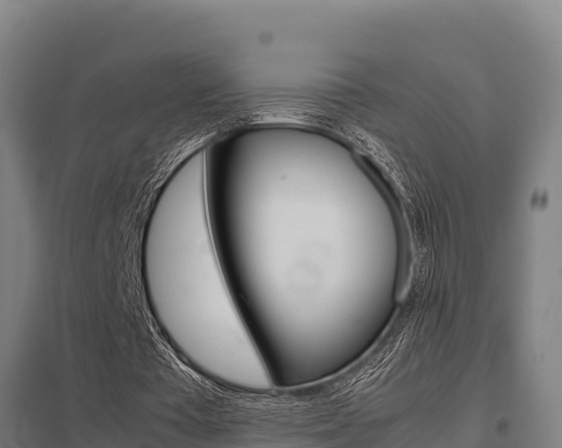 X0000098040385200803280759