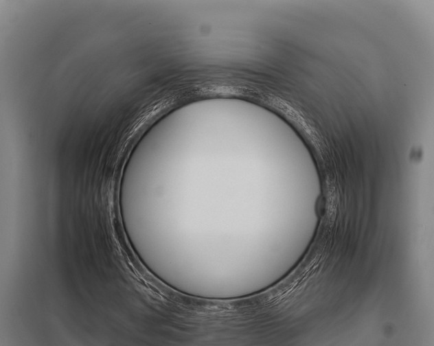 X0000098040386200803280759