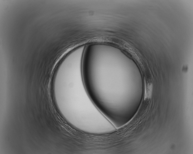 X0000098040387200803280759