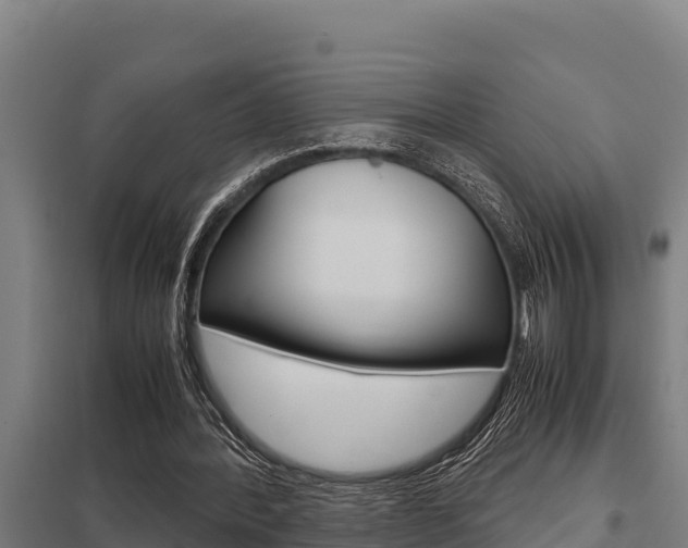 X0000098040388200803280759