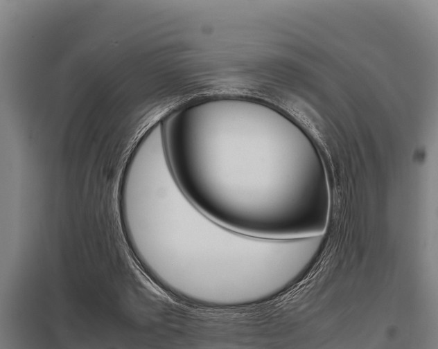X0000098040389200803280759