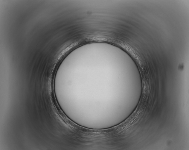 X0000098040390200803280759