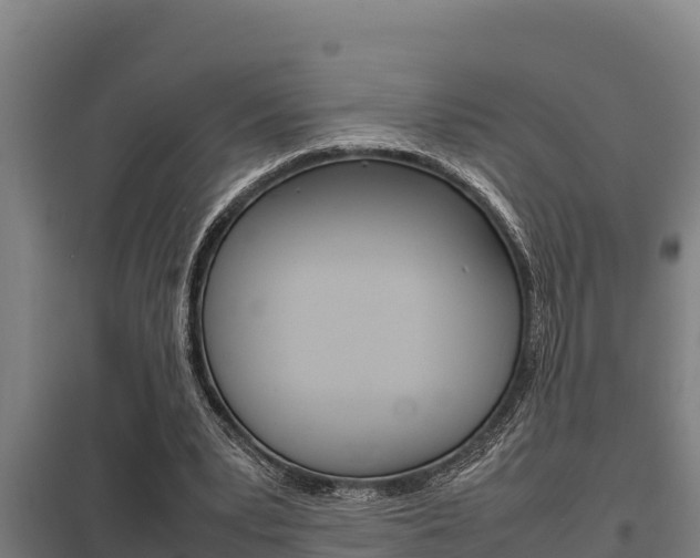 X0000098040391200803280759