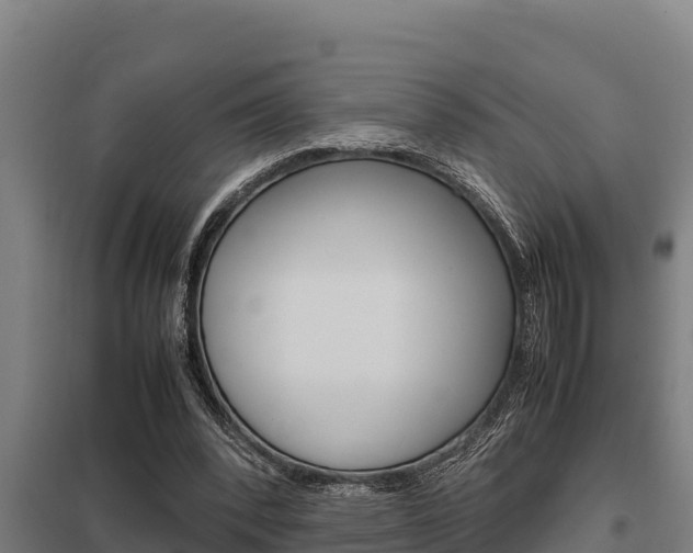 X0000098040392200803280759