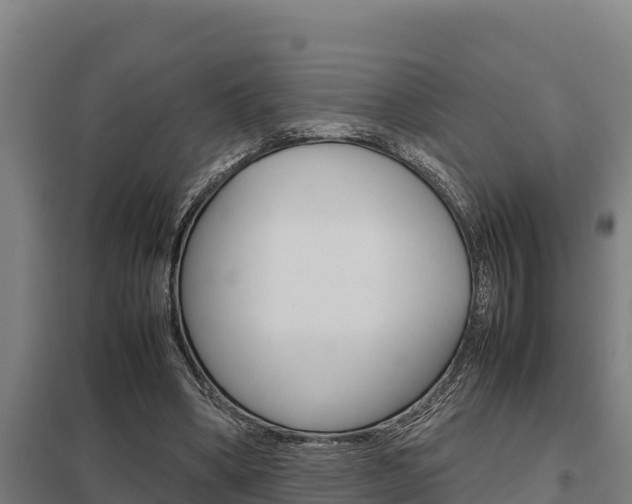 X0000098040394200803280759