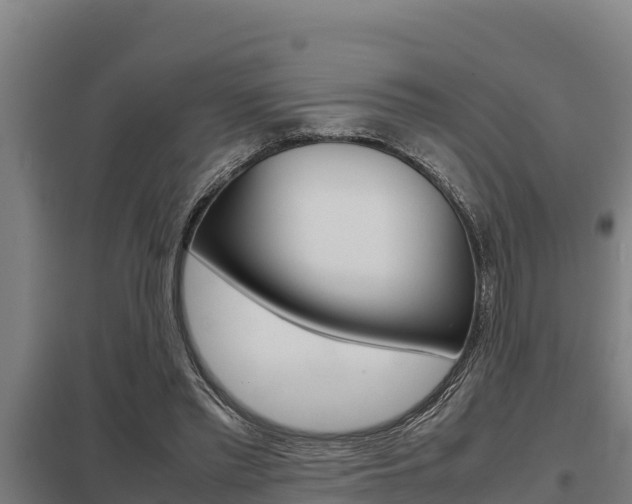 X0000098040397200803280759