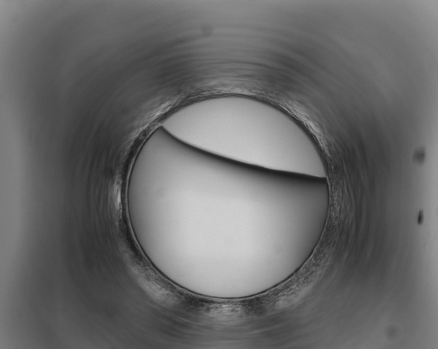 X0000098040398200803280759