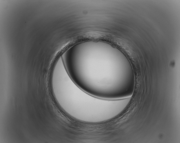 X0000098040399200803280759