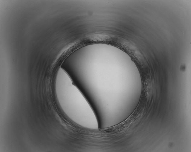 X0000098040400200803280759