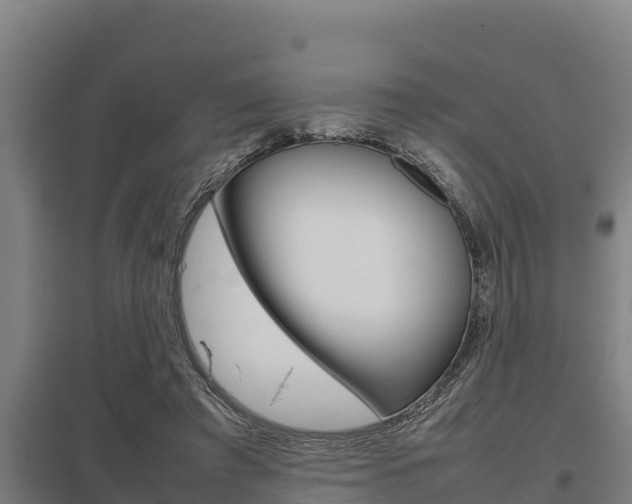 X0000098040401200803280759