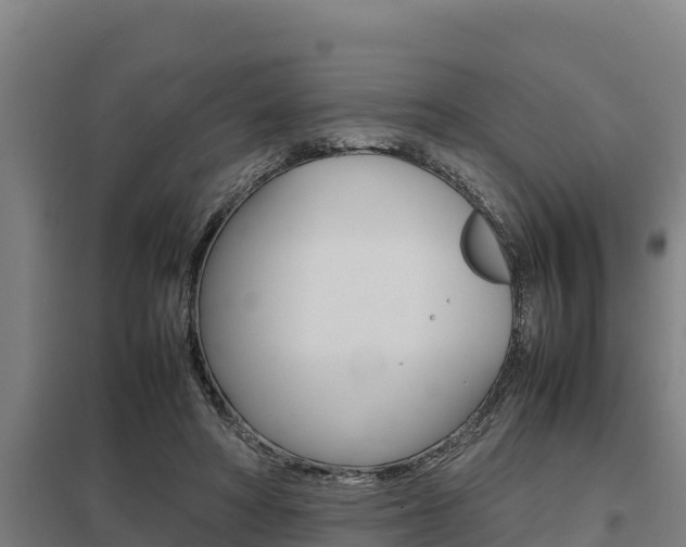 X0000098040402200803280759