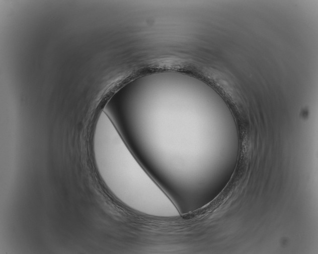 X0000098040403200803280759