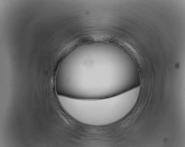 X0000098040405200803280759