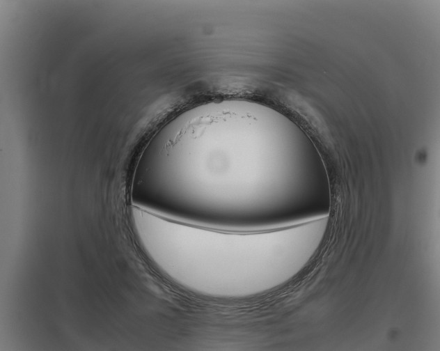 X0000098040407200803280759