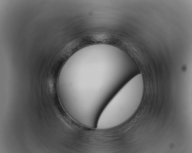 X0000098040408200803280759