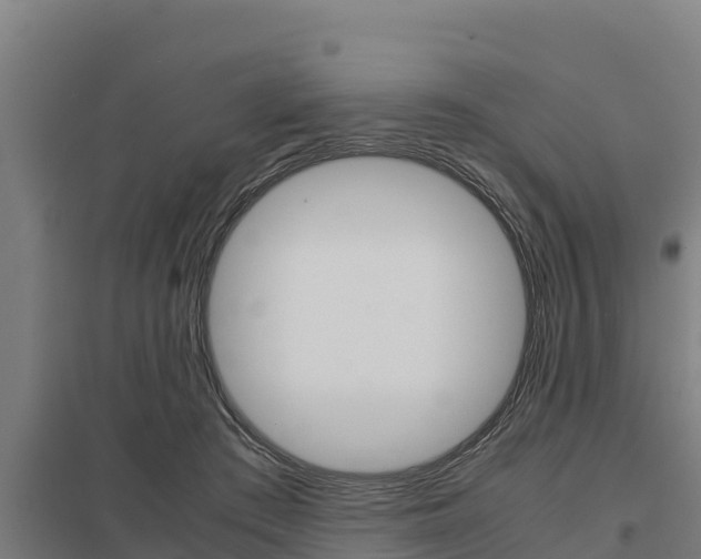 X0000098040409200803280759