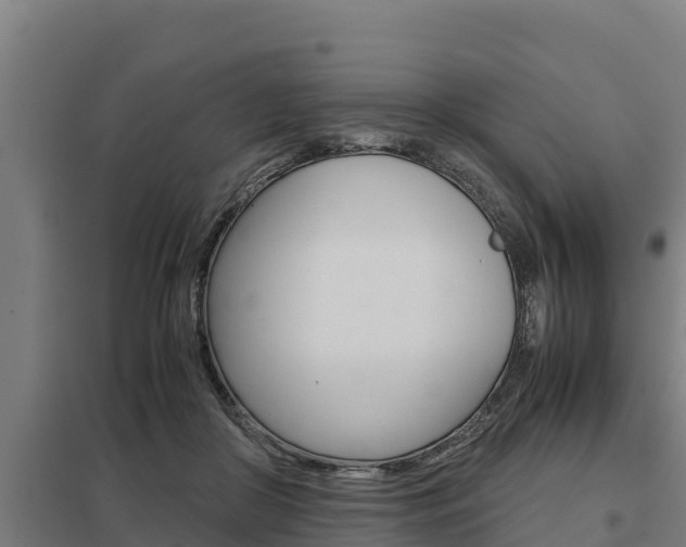 X0000098040410200803280759