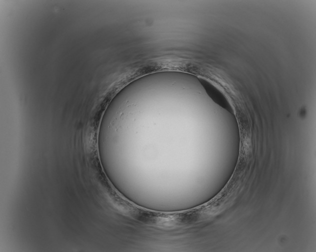 X0000098040411200803280759